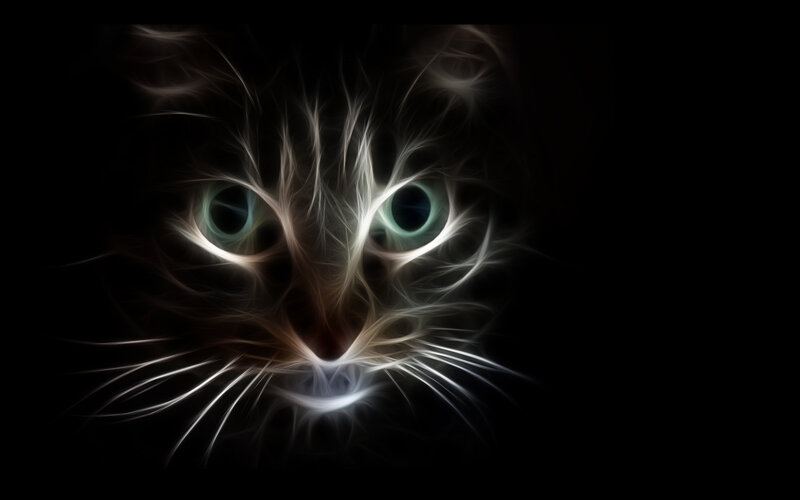 Cat Face with Glowing Eyes