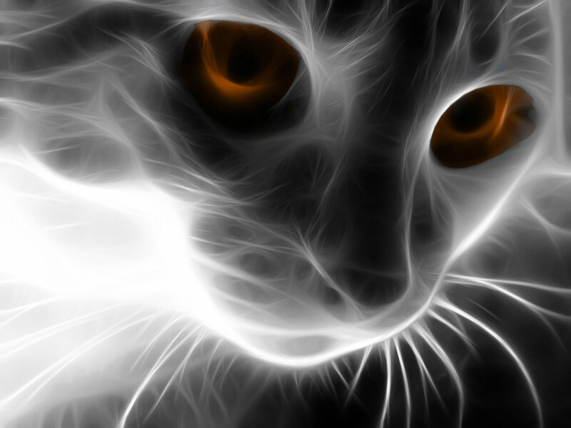 Cat Face with Glowing Eyes — White