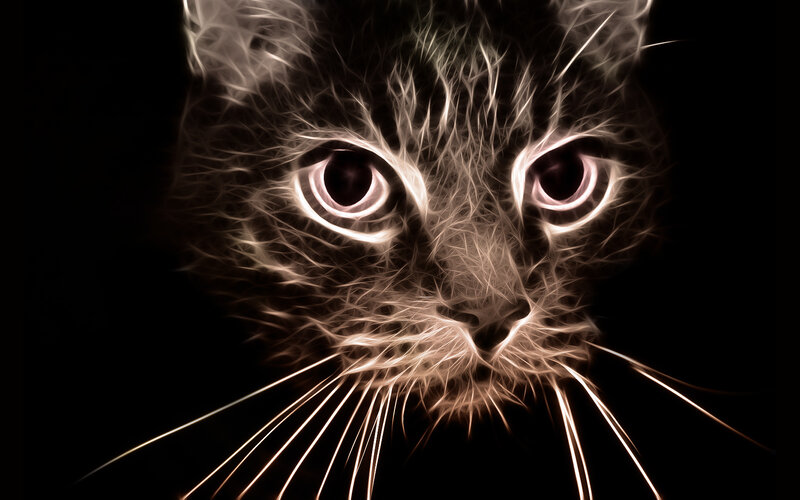 Cat Face with Glowing Lines