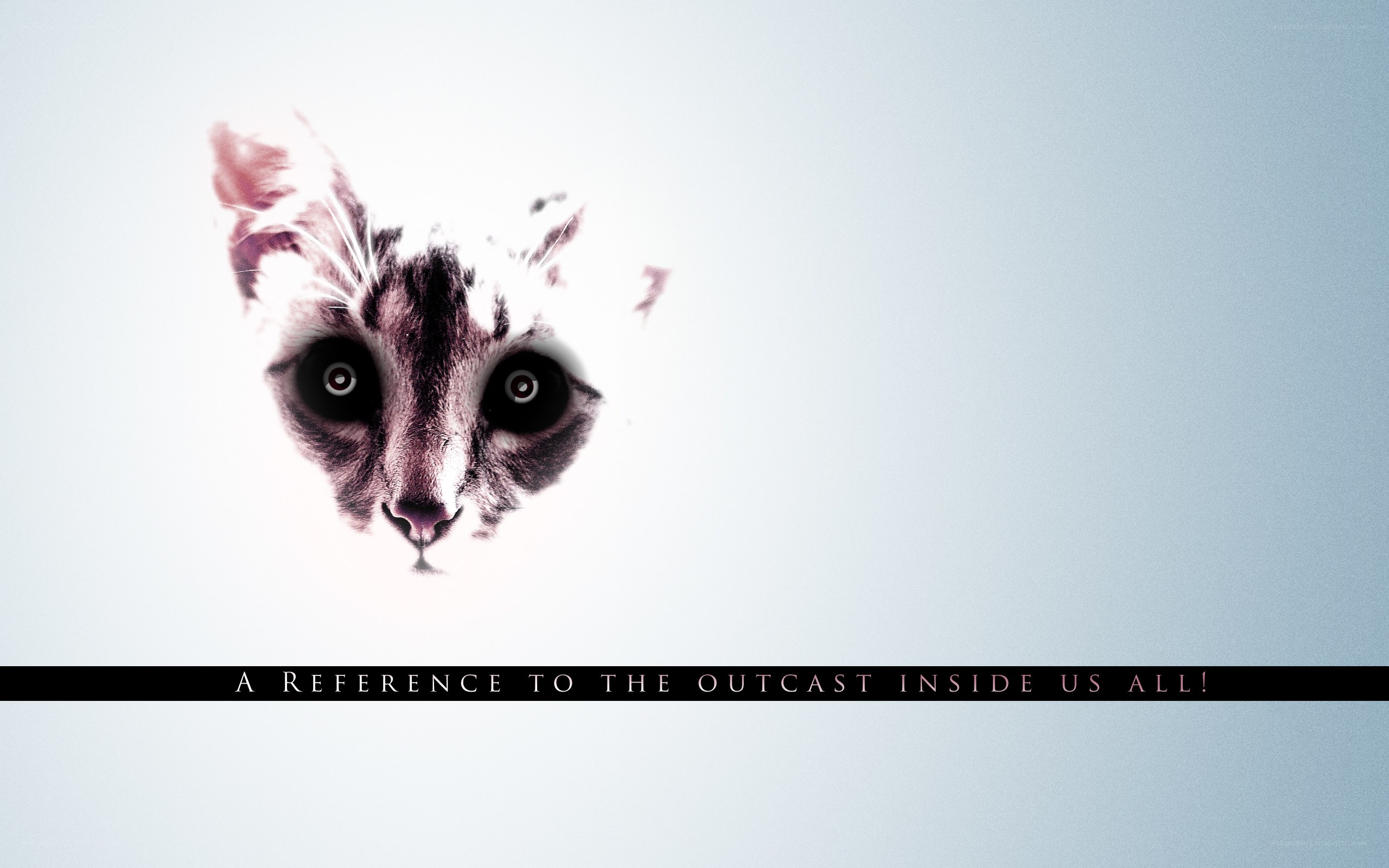 cat face with text reference