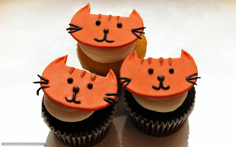 Cat-faced Cupcakes — Orange
