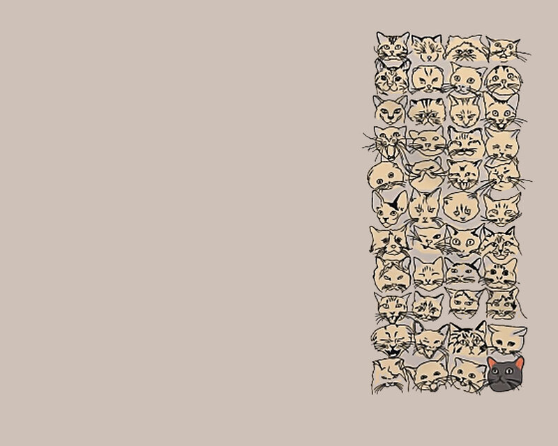 cat faces collage