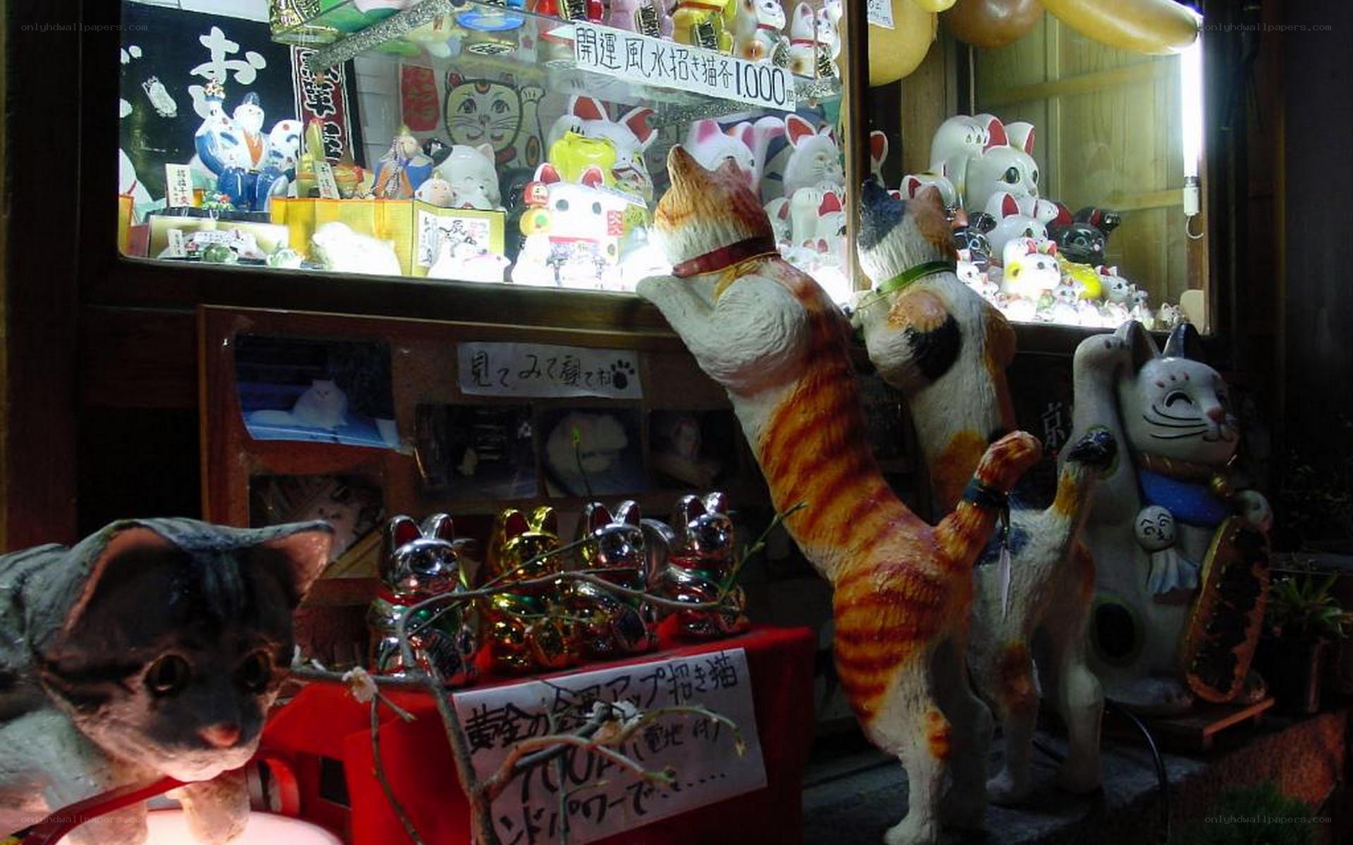 Cat figurines in a shop display