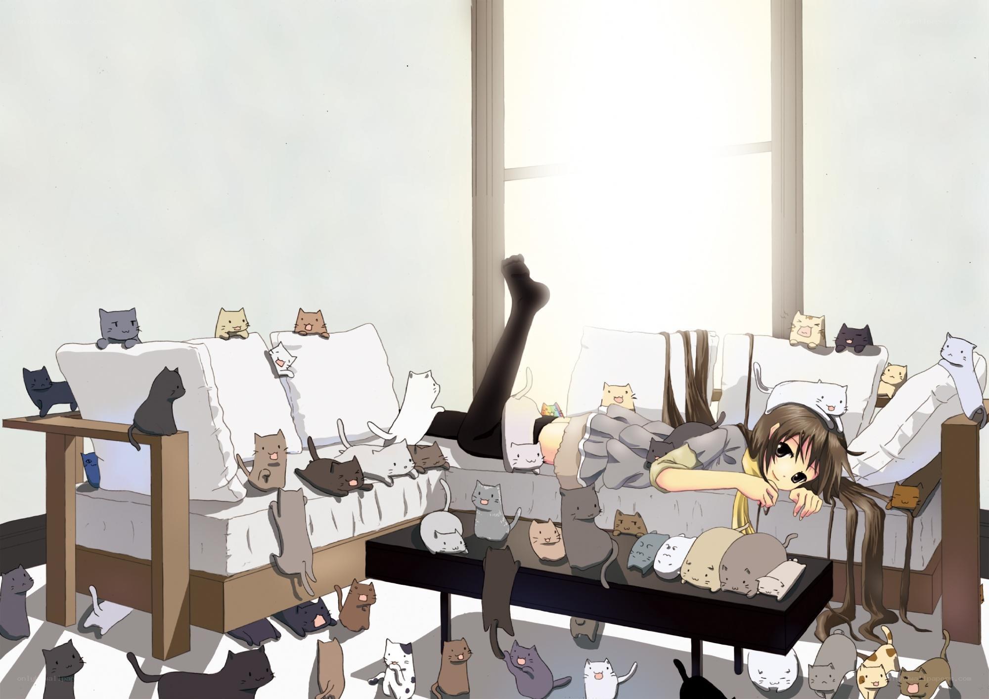 cat-filled living room scene