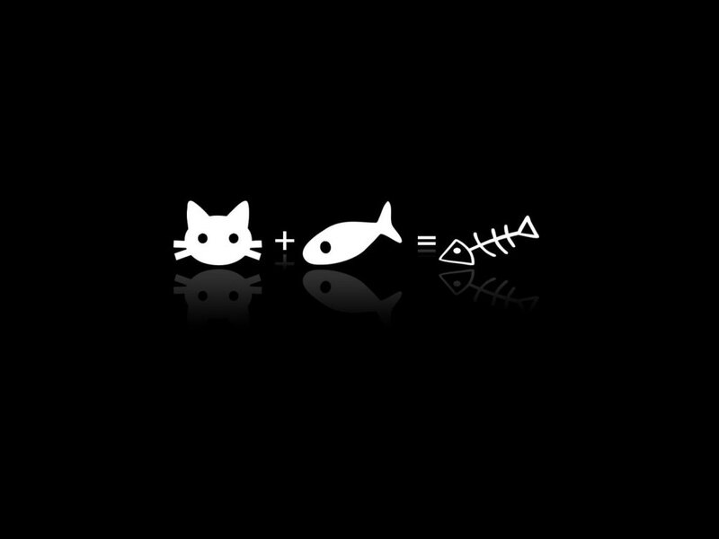 cat fish skeleton equation
