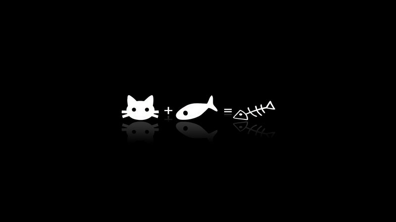 Cat Fish Skeleton