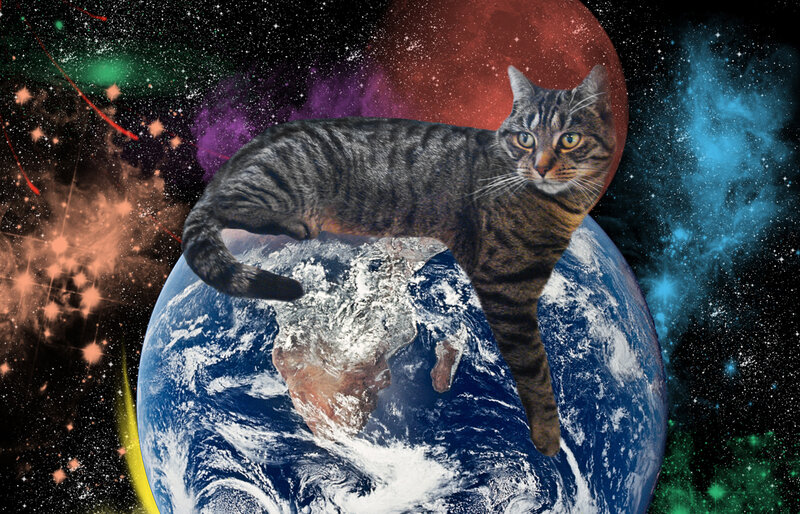 cat floating above earth