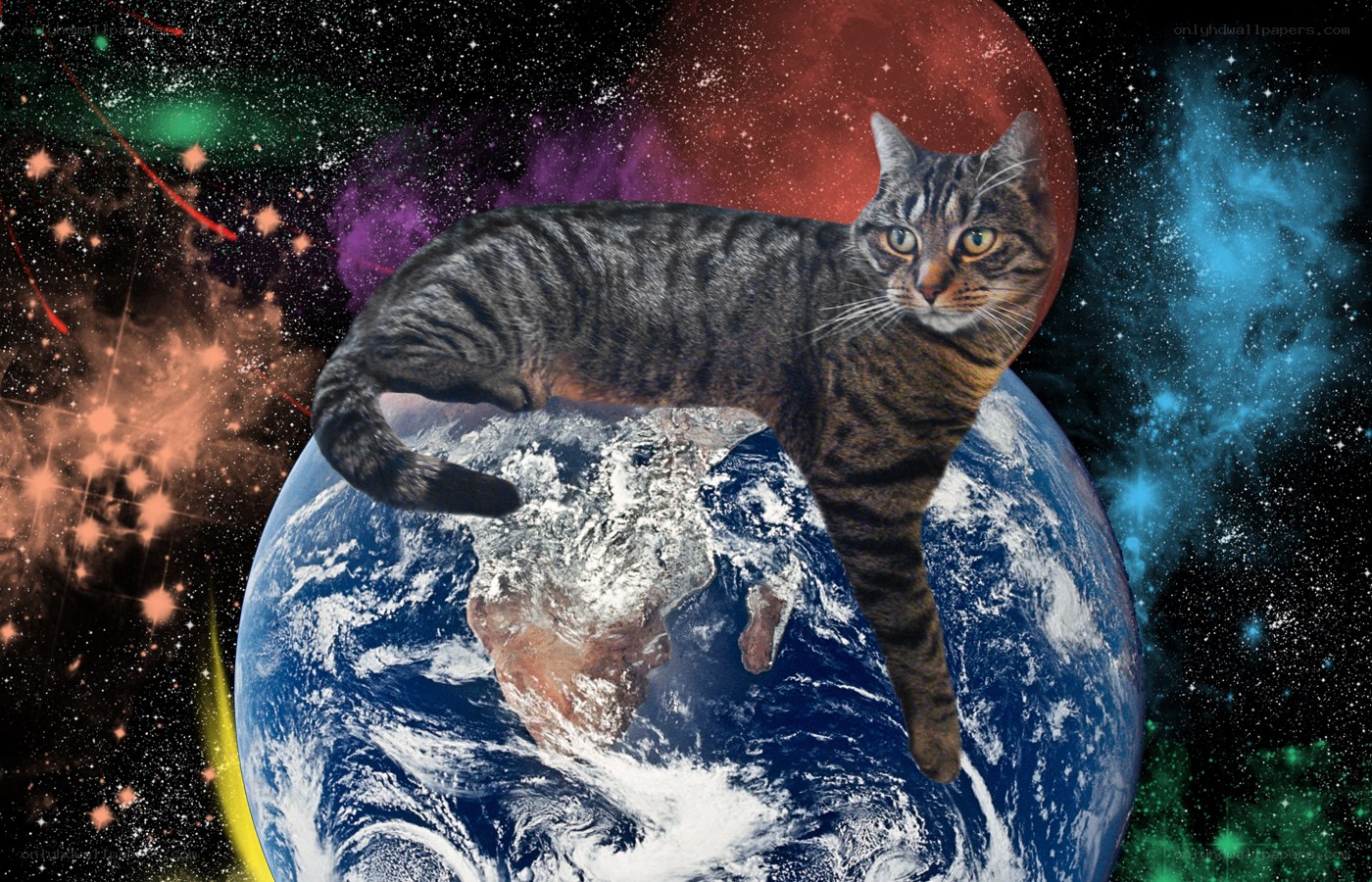 cat floating above earth