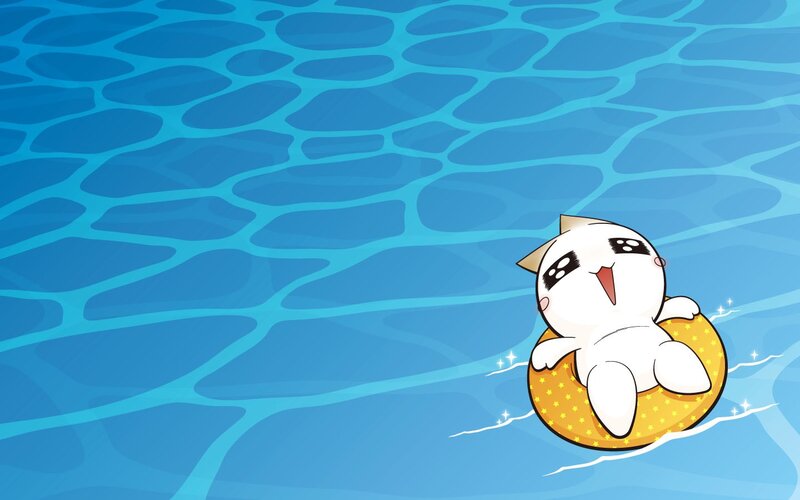 cat floating in pool