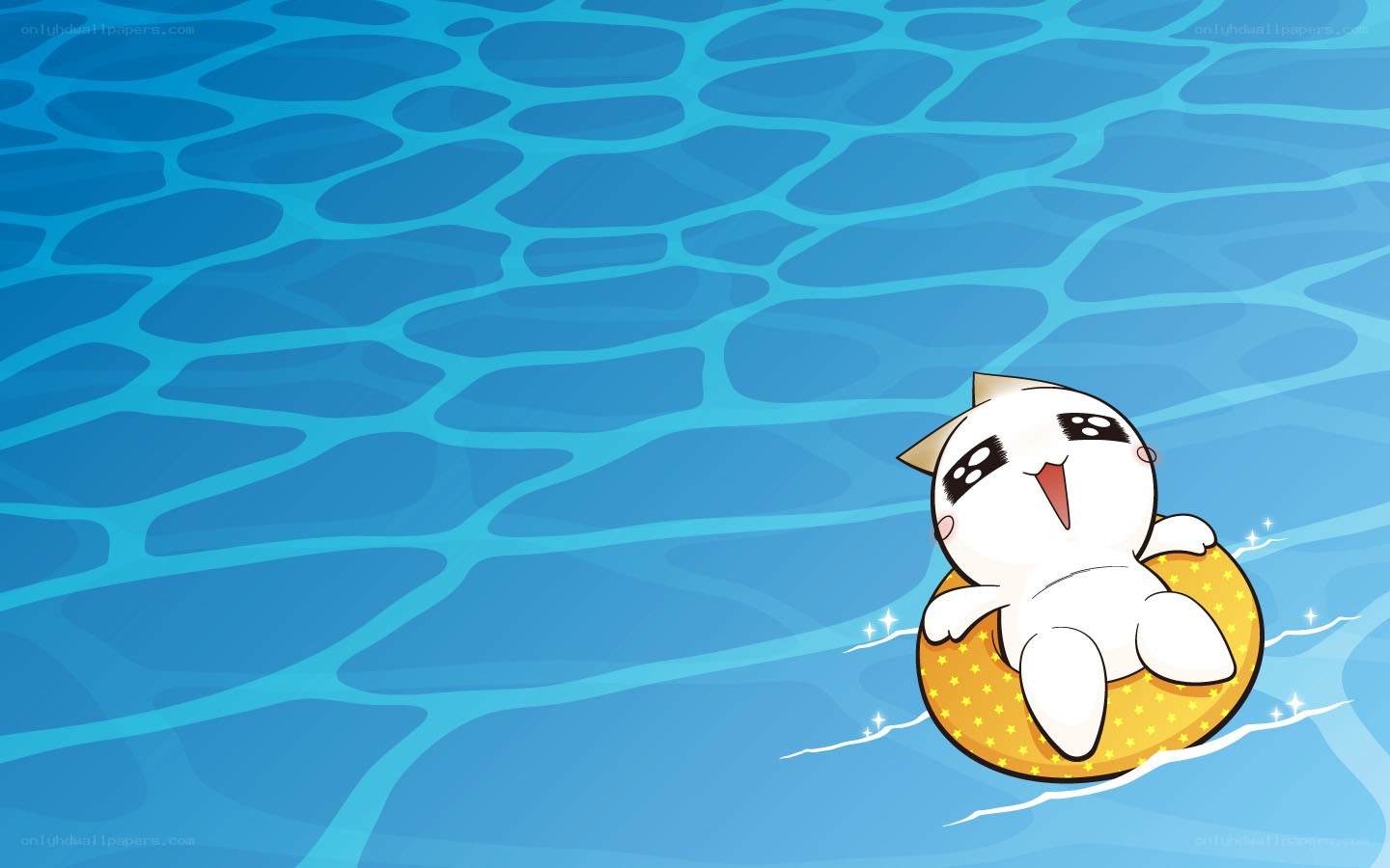 cat floating in pool