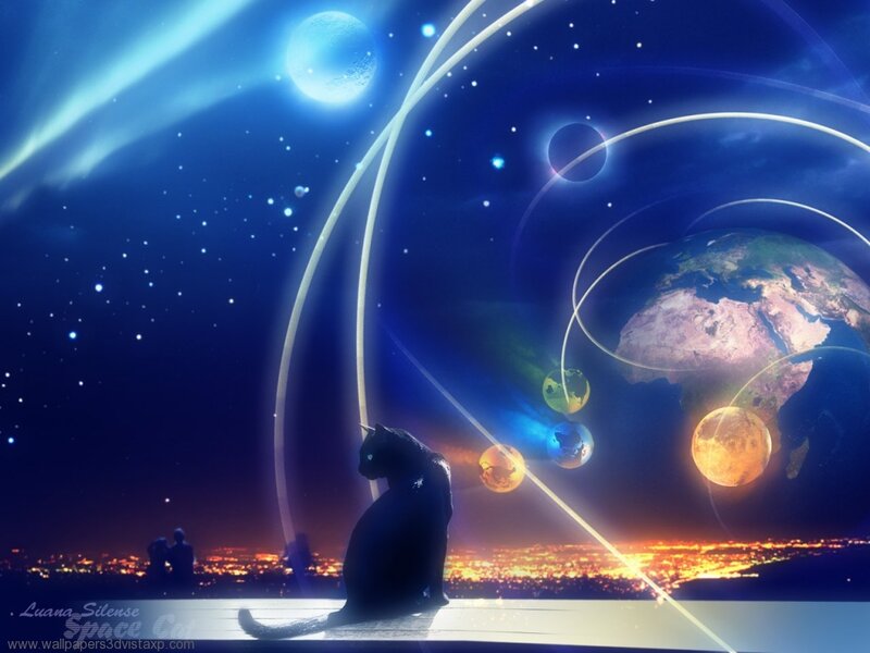 cat gazes at cosmic scene