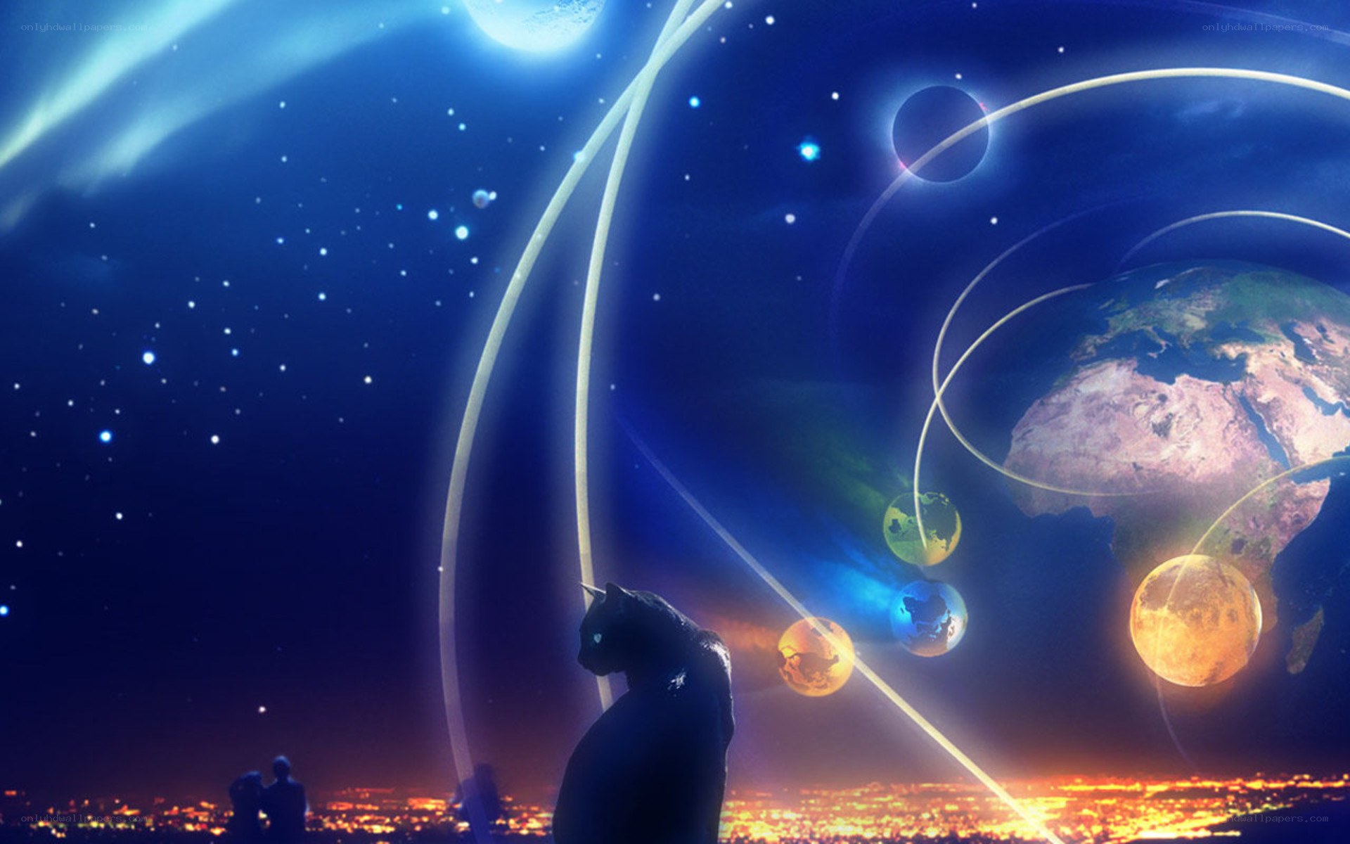 cat gazes at cosmic scene