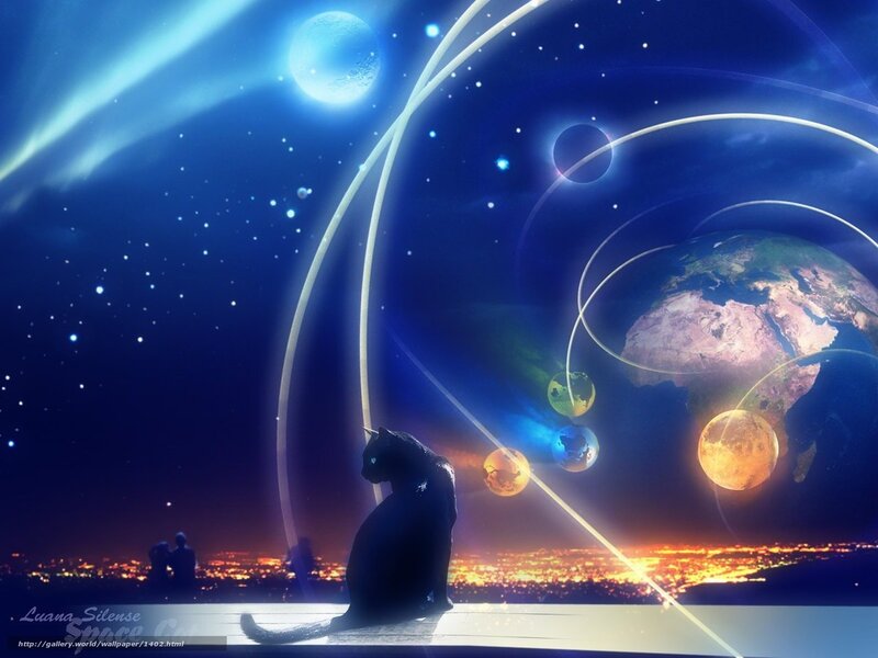 cat gazes at cosmic scene