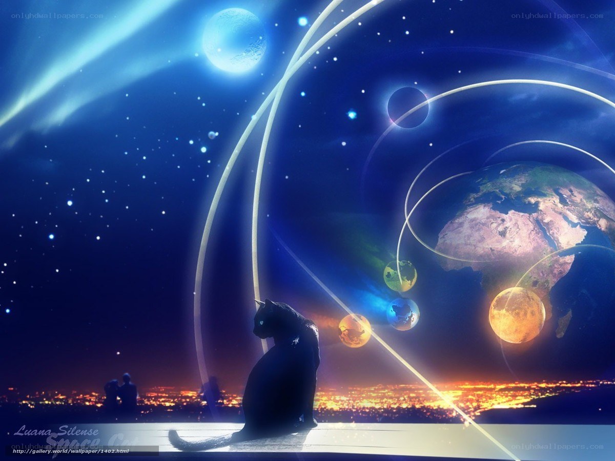 cat gazes at cosmic scene