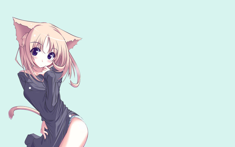 cat girl anime character