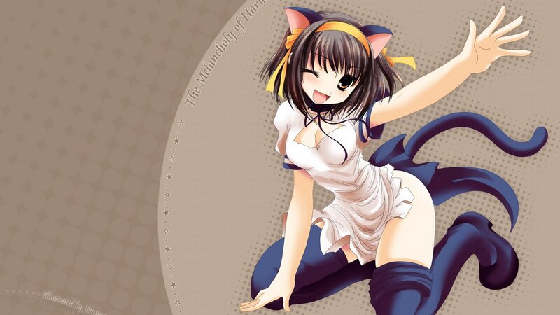 cat girl anime character