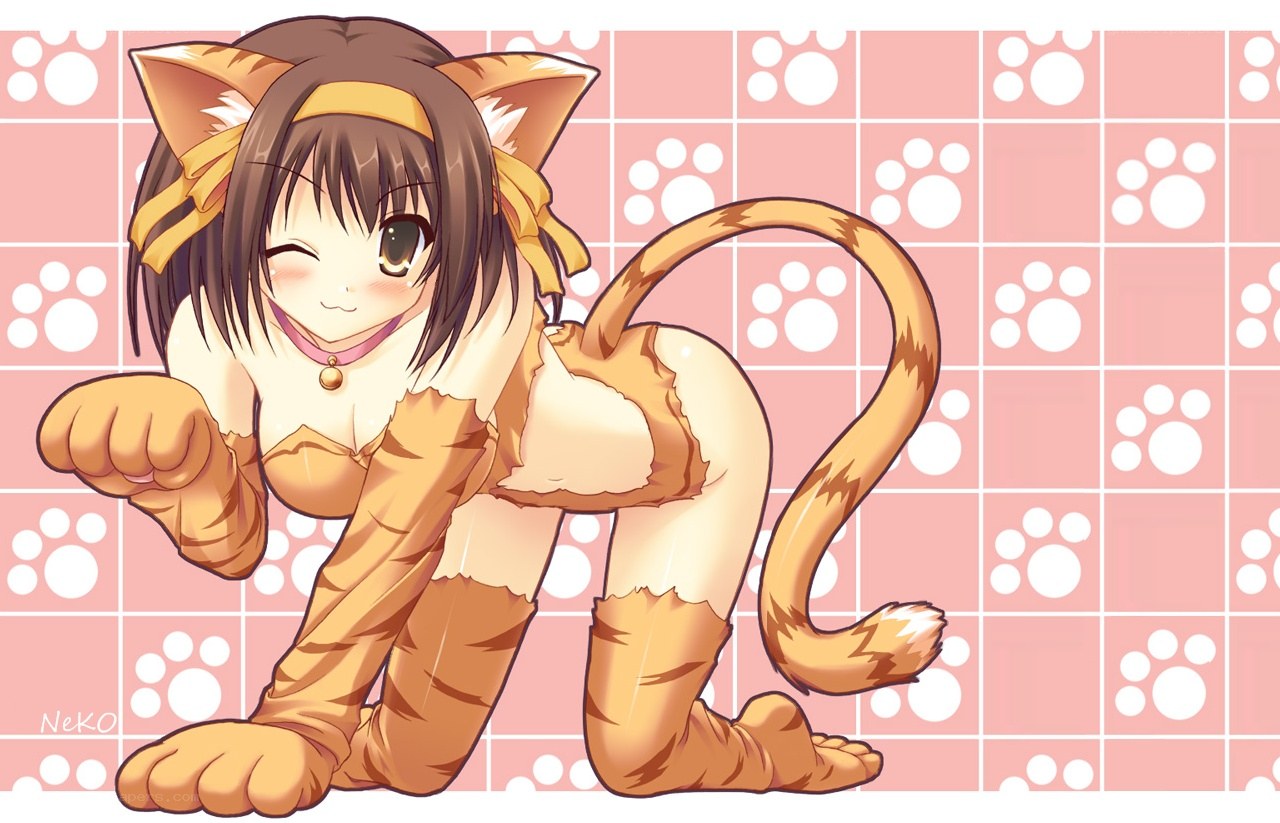 cat girl character illustration