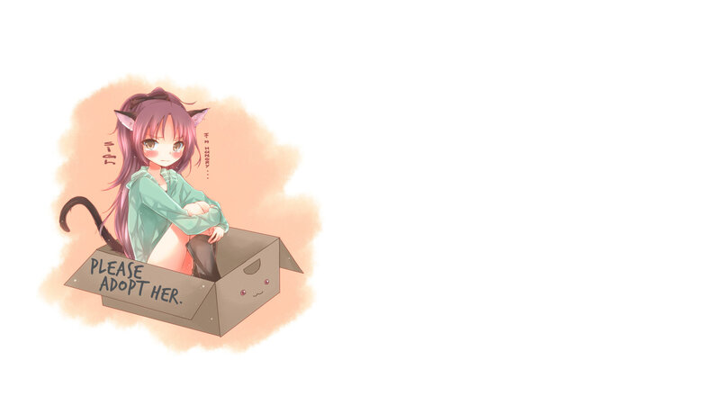 cat girl in a box