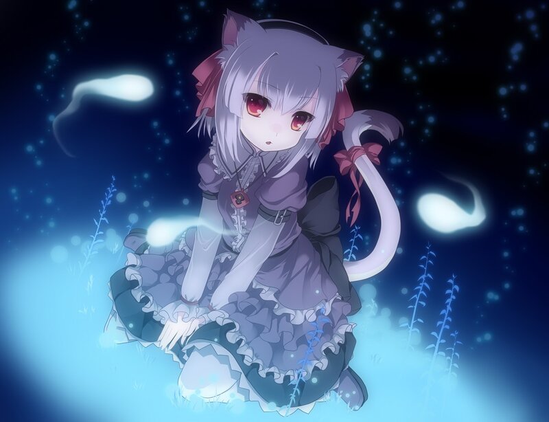 cat girl in a night garden