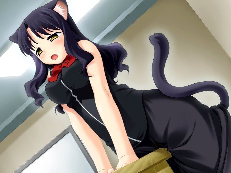 cat girl in black dress