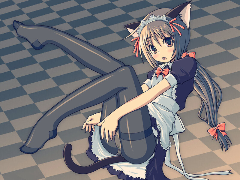 cat girl in maid outfit