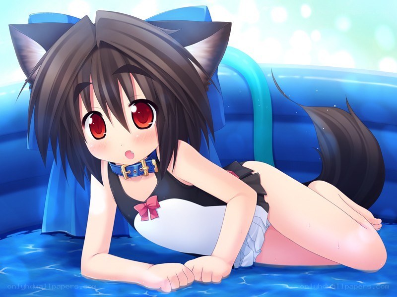 cat girl in pool
