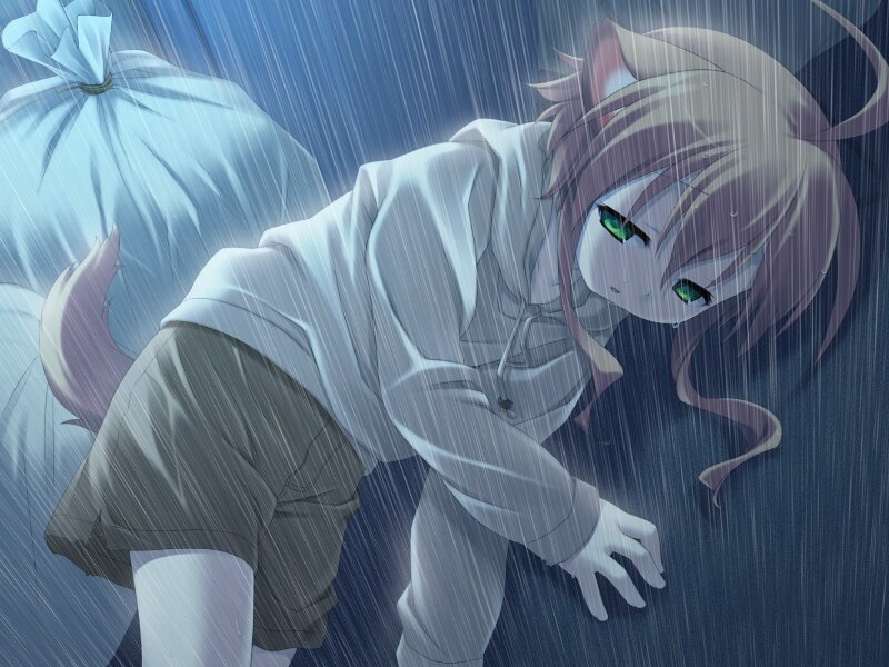 cat girl in the rain