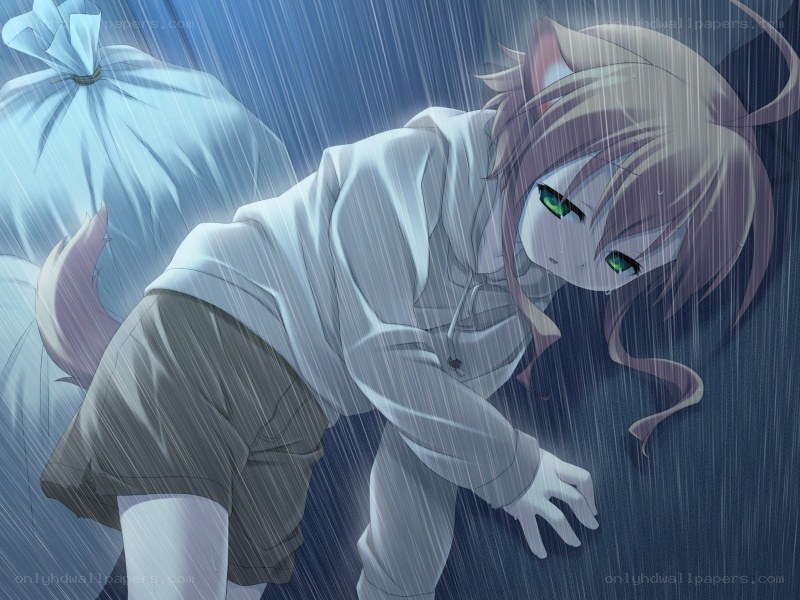 cat girl in the rain