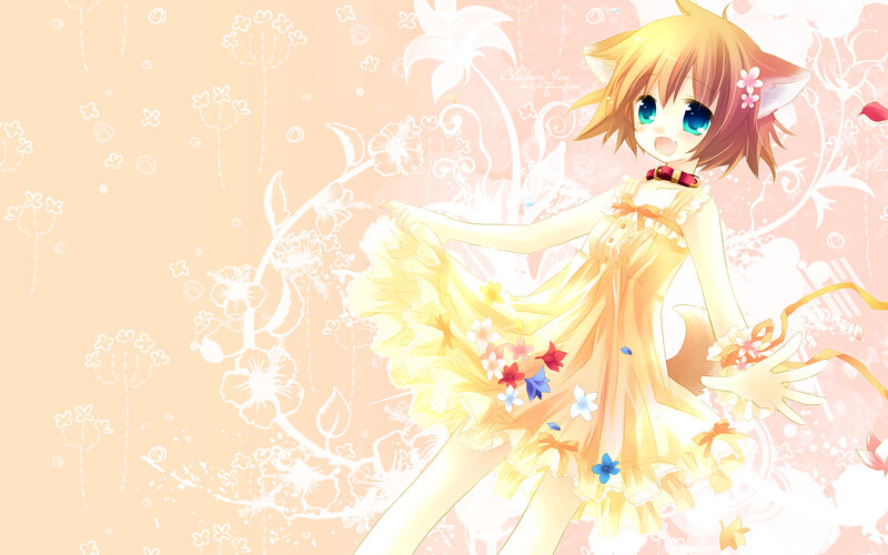 cat girl in yellow dress