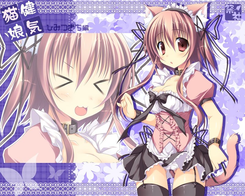 Cat Girl Maid Character Art
