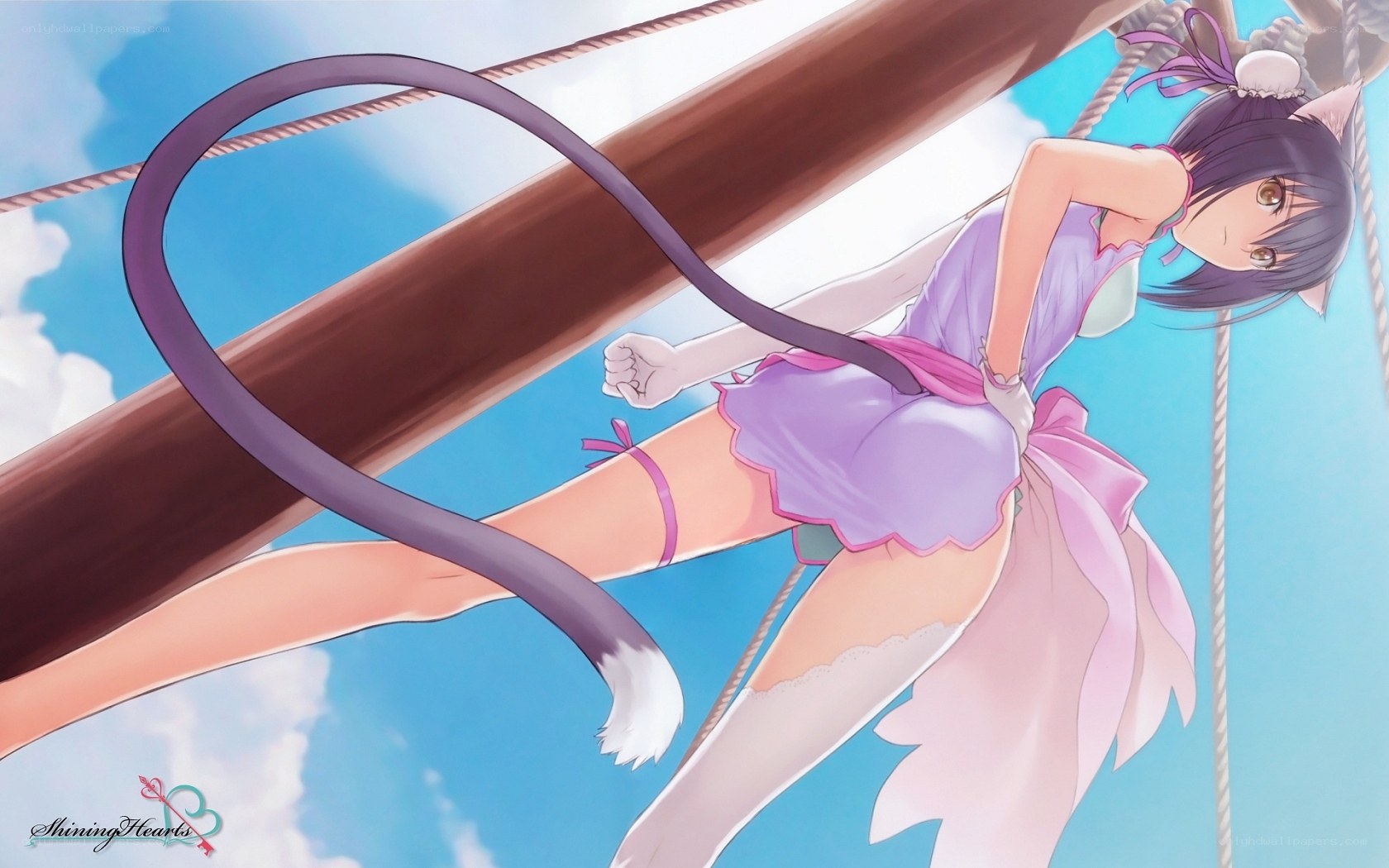 cat girl on a ship
