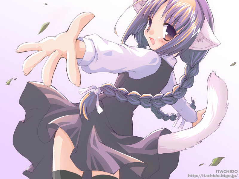 cat girl reaching out