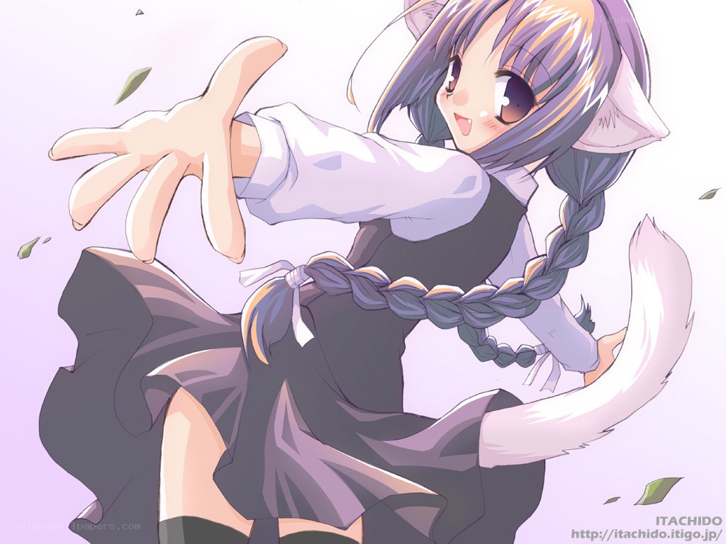 cat girl reaching out