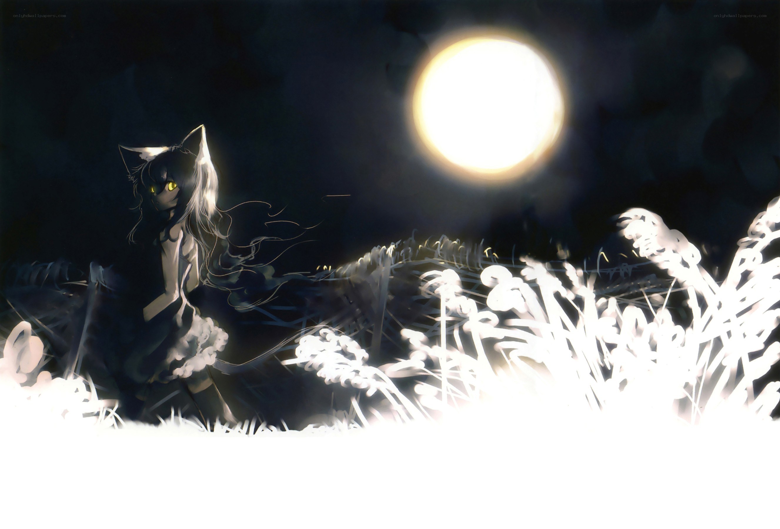 cat girl under the moon