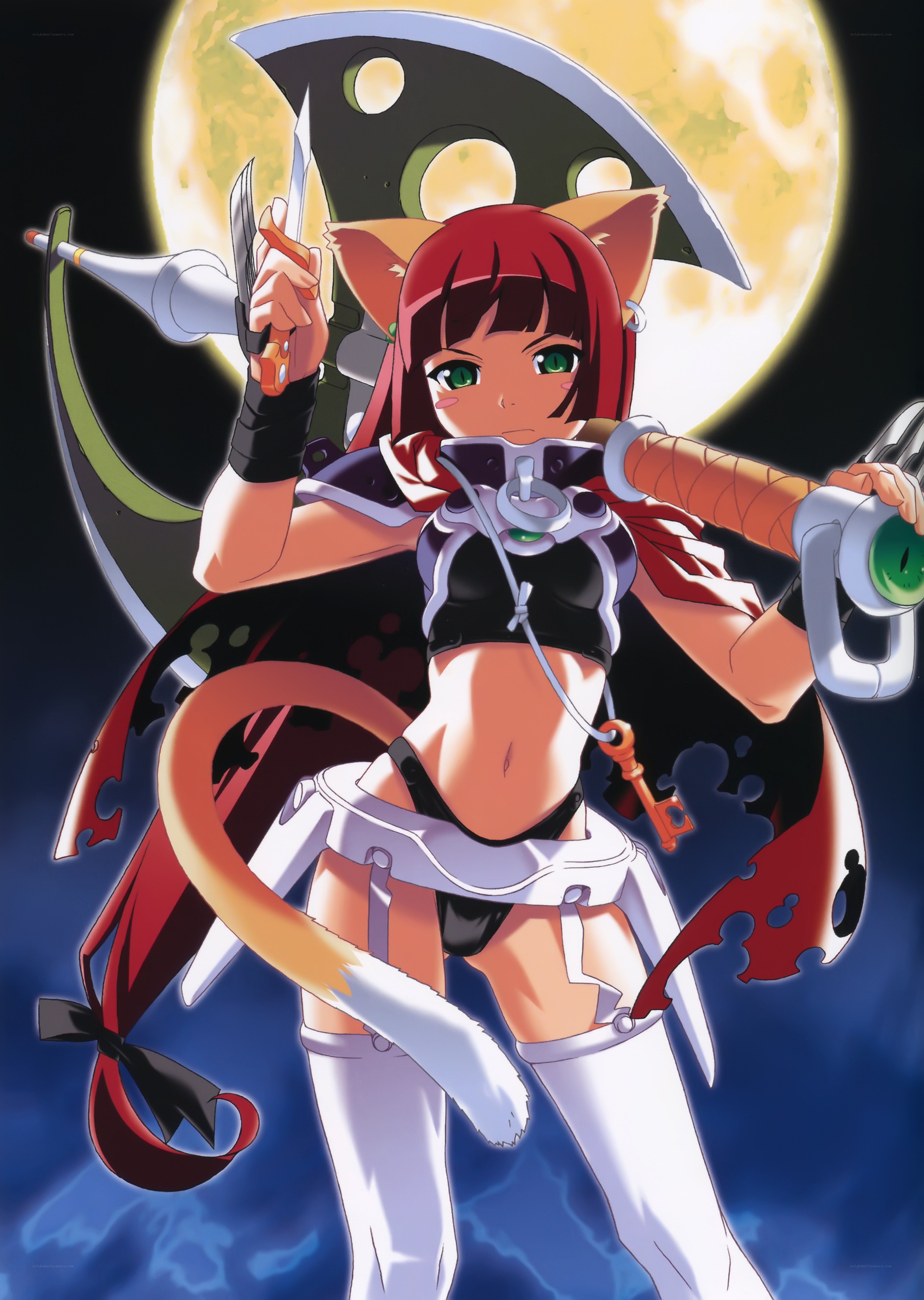 cat girl warrior with weapons