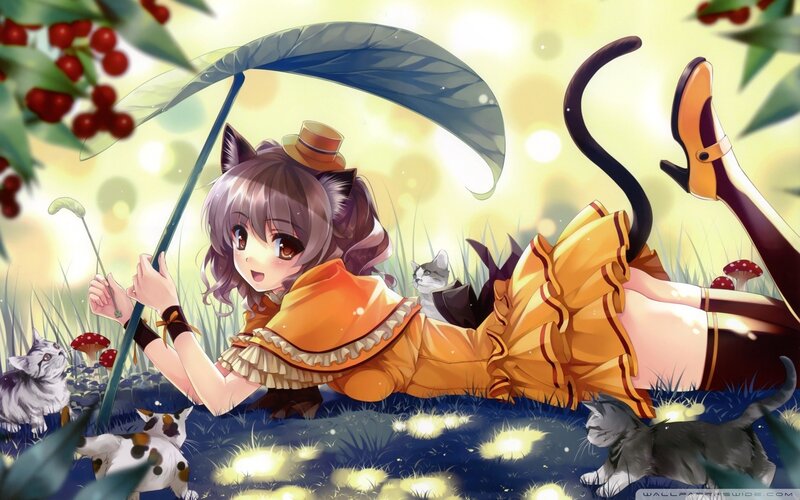 cat girl with umbrella in field