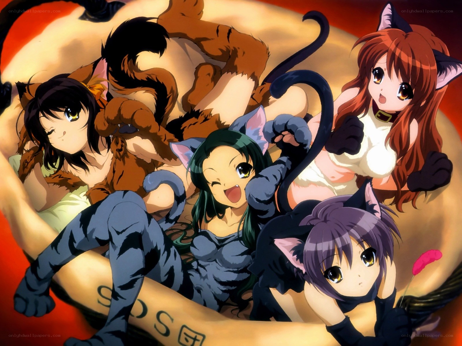 cat-girls in a group