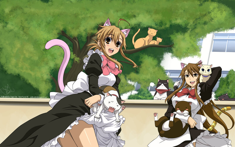 cat girls in maid outfits