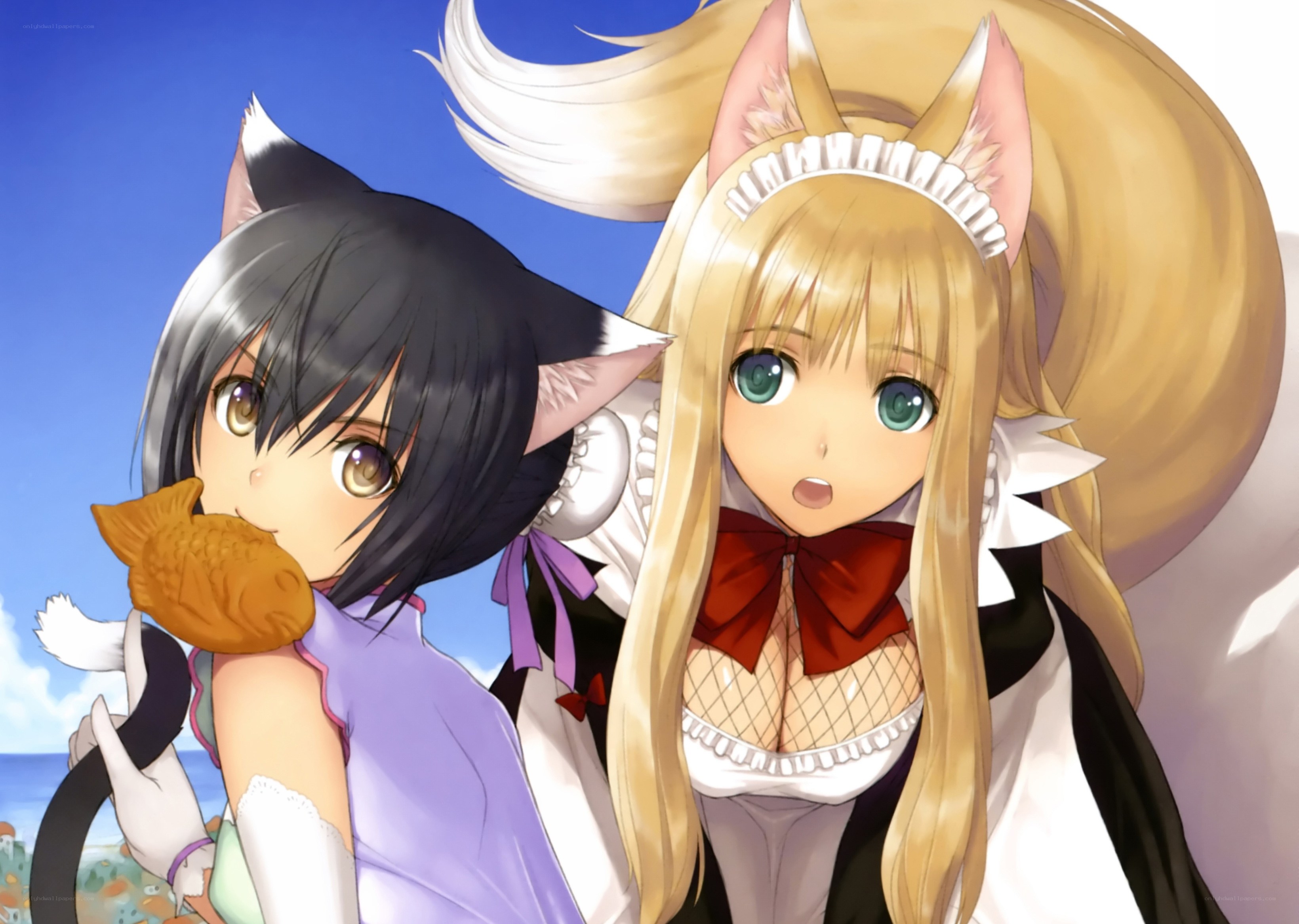 cat girls with fish snack