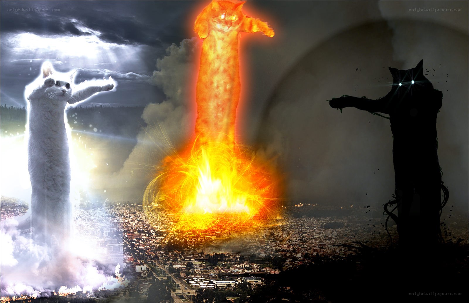 cat gods battle over city