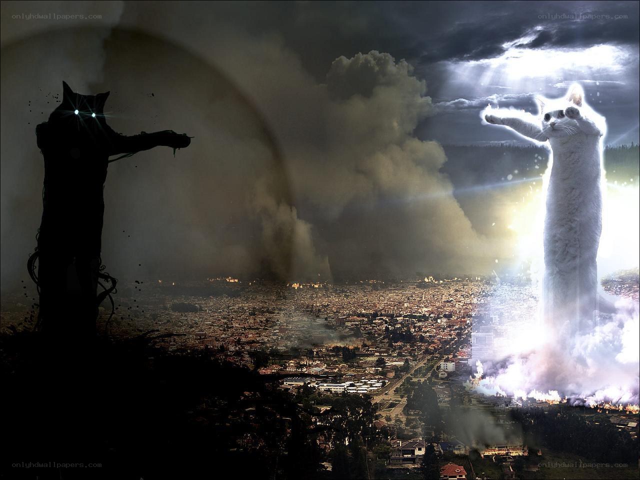 Cat gods over city