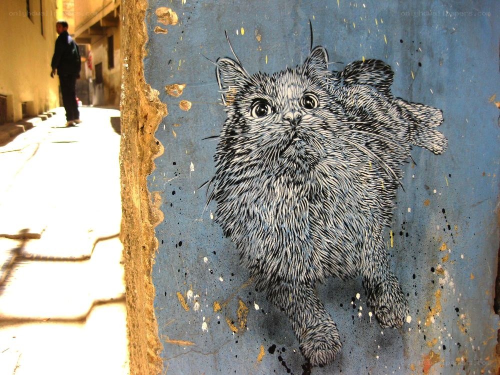 Cat graffiti on a blue wall