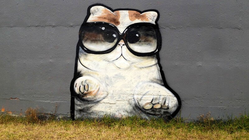 cat graffiti with sunglasses