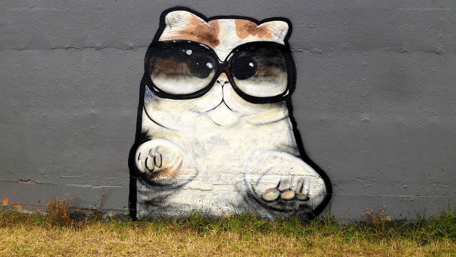 cat graffiti with sunglasses
