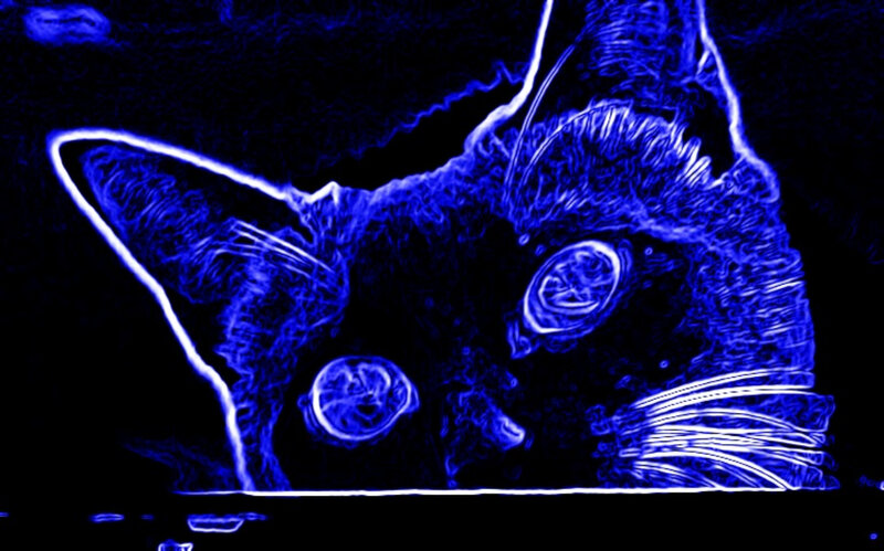 Cat Head in Blue