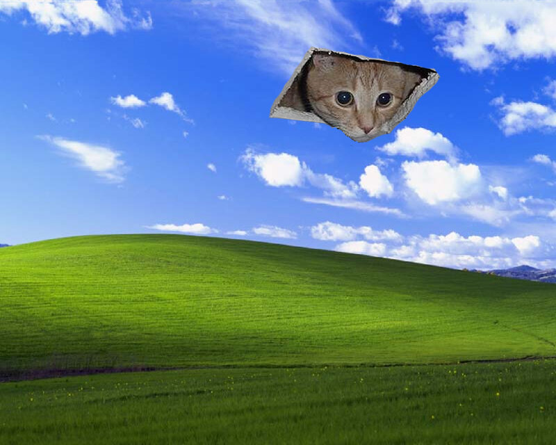 Cat Head in Sky