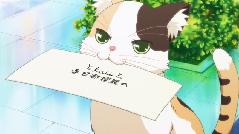 Cat Holding a Letter
