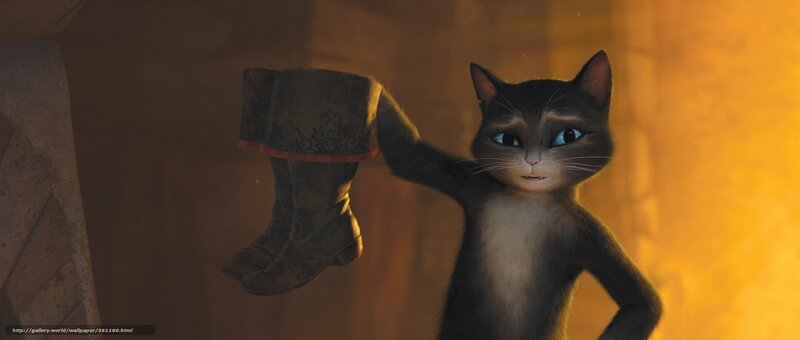cat holding boots