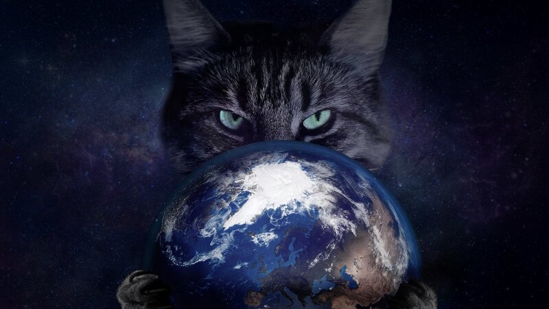 Cat Holding Earth