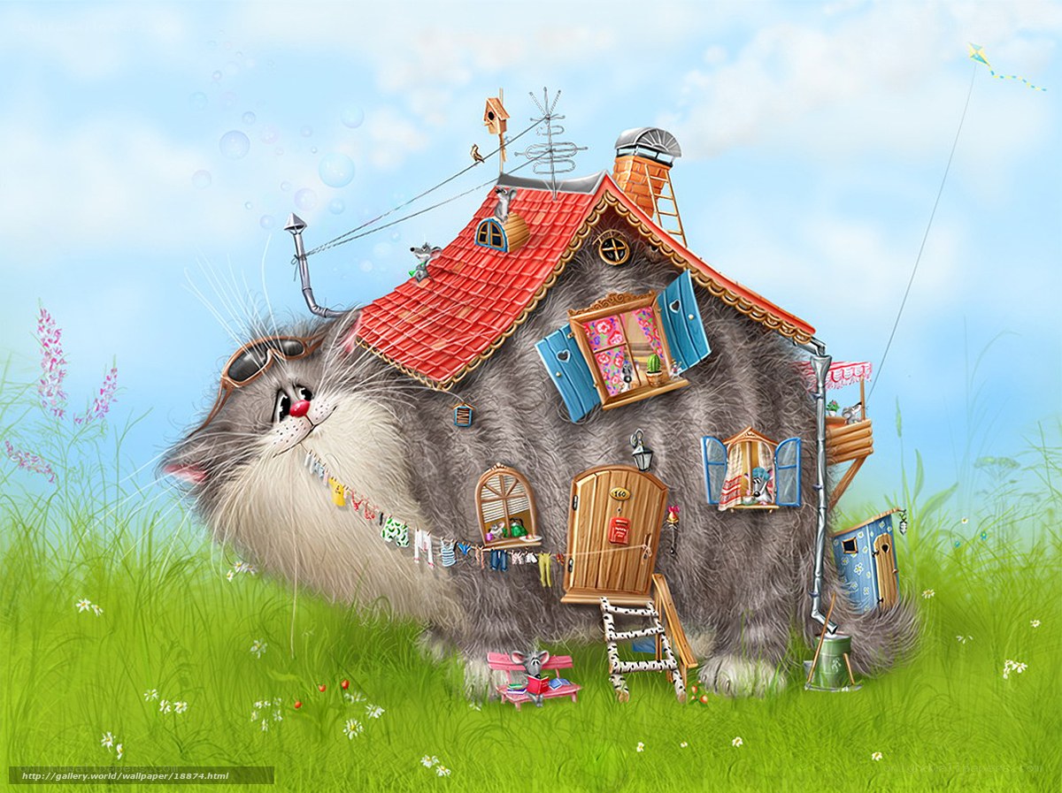 Cat House in the Field